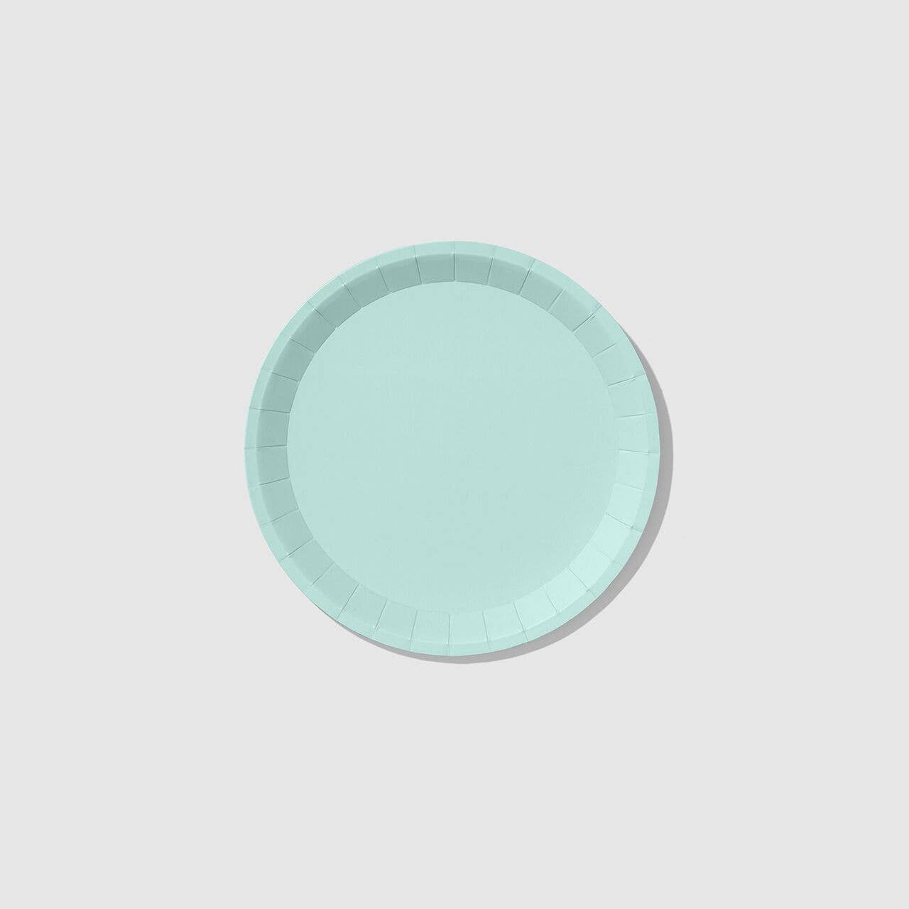 Mint Large Paper Party Plates (10 per Pack)