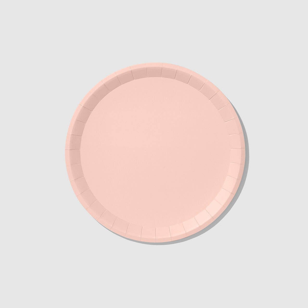 Pale Pink Large Paper Party Plates (10 per Pack)