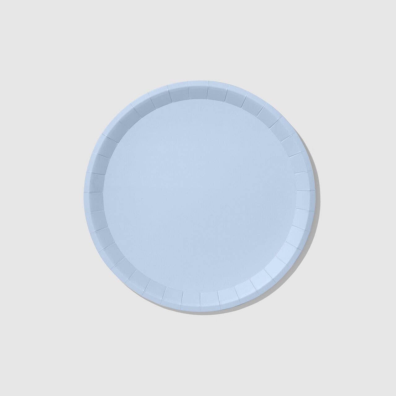 Pale Blue Large Paper Party Plates (10 per Pack)
